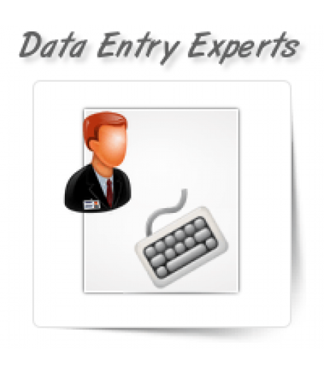 Data Entry/Extraction Experts